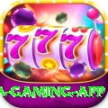 dhoni Mega Gaming App